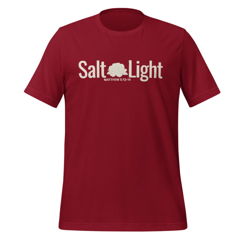 Salt and Light Christian Women's t-shirt
