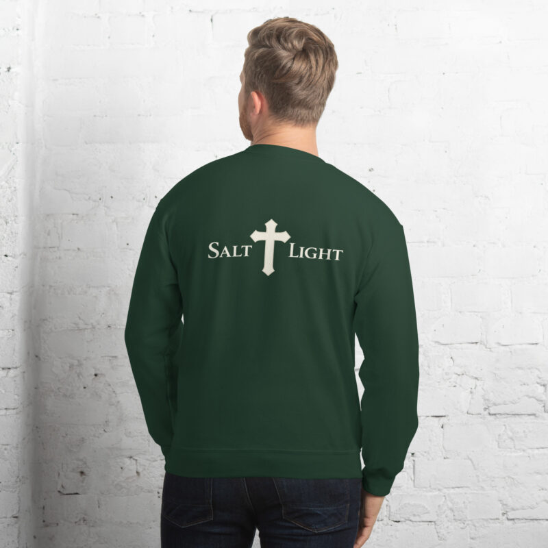 salt & light christian sweatshirt for men-back